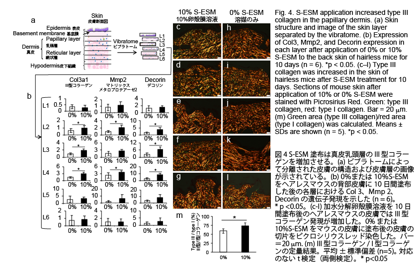 19CTR fig4 for HP