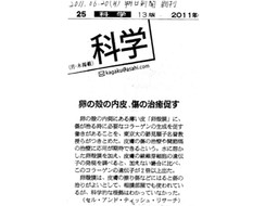 2011年朝日新聞
